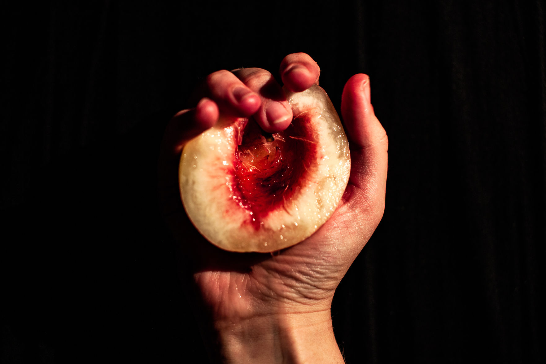 FruitIllustration01_Diggins
